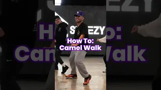 Dance Move: Camel Walk #dance #shorts