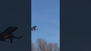 F-5 tiger landing action