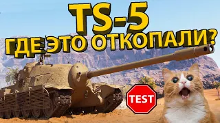 TS-5 - ТЕСТИРУЕМ ПТ-САУ И РАЗБИРАЕМСЯ СТОИТ ЛИ ПОКУПАТЬ ЕЁ ЗА ЗОЛОТО В BLITZ!