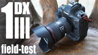 Canon EOS 1Dx III: HANDS-ON field test review