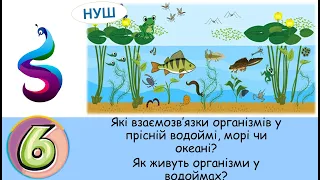 Які взаємозв'язки організмів прісних і морських водойм