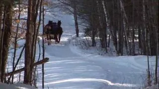 Sleigh Ride sung by Andy Williams (HD)