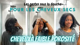 MA ROUTINE CAPILLAIRE CHEVEUX CREPUS SECS || UN WASHDAY POUR CHEVEUX SECS ET PEU POREUX