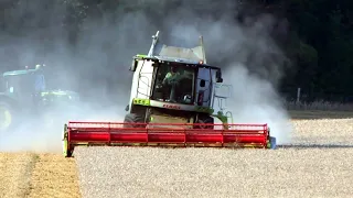 Combining with the Claas Lexion 630 at Glovers Farm