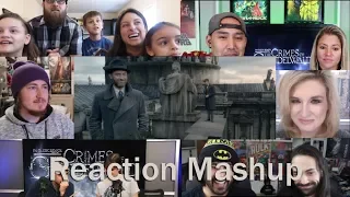 Fantastic Beasts: The Crimes of Grindelwald  Official Teaser Trailer REACTION MASHUP