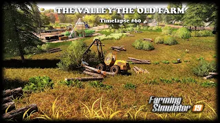 Cleaning forest area, cultivating, seeding wheat | The Valley The Old Farm | FS19 Timelapse #60