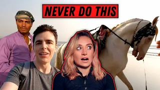 EQUESTRIAN REACTS TO INSANE HORSE SCAM