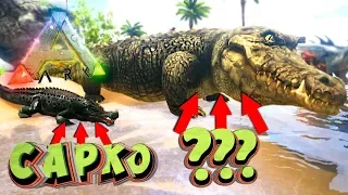 САМЫЙ ОГРОМНЫЙ КАЙМАН - Парк Динозавров - ARK Survival Evolved #3