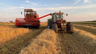 🔥Ogień w Szopie🔥Najładniejszy Bizon we wsi?!🔥Żniwa 2k23 w GR Sarbinowski🔥Bizon🔥MasseyFerguson🔥