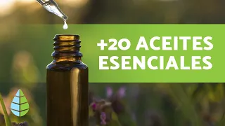 ACEITES ESENCIALES 🪔 Qué son, Propiedades y Usos