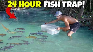 24 HOUR Fish Trap Catches TONS Of FISH!!
