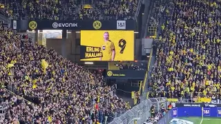 Borussia Dortmund vs Mainz 05 | after haaland erling goal