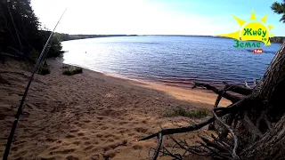 Озеро, пустынный пляж, сосны, вокруг никого. Рыбалка. Еда на КОСТРЕ. Съёмка с высоты.