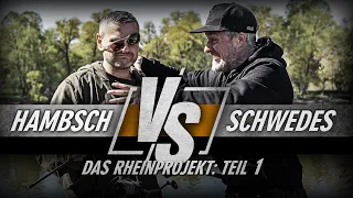 Hambsch vs. Schwedes - Das Rheinprojekt Teil 1(Karpfenangeln)