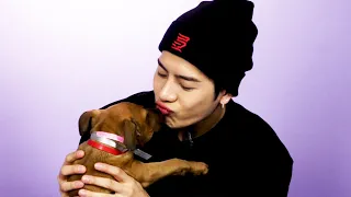 Jackson Wang Plays With Puppies While Answering Fan Questions