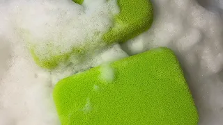 ASMR | Green Epoxy Sponge + PineSol |  🤍🧽🌲🫧💚 #ASMR #Sponge #Squeezing  #Subscribe !Sub Request!