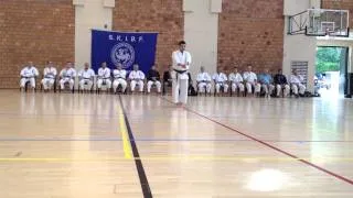 Enpi and Basai Sho katas by Sensei Suzuki