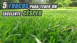 5 TRUCOS PARA TENER UN EXCELENTE CÉSPED