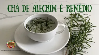 Conheça os poderes medicinais do chá de alecrim ou rosmarino