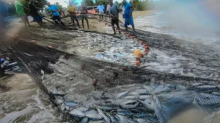 In Seine Fishing captured - Starfish/Pigeon Point Tobago