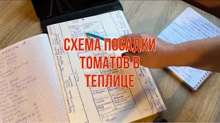 Схема посадки томатов в теплице. Схема обязательно нужна!