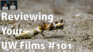 Reviewing YOUR UNDERWATER FILMS #101 ⎮ Michael Fafalios