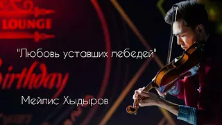 Любовь уставших лебедей (cover by Meylisviolin)