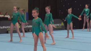 The Floor: Arabian Gymnastics - Display Squad