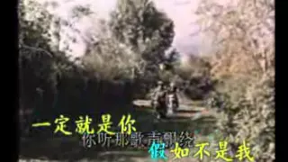 苏联歌曲《幸福鸟》"Птица счастья" - 中文版