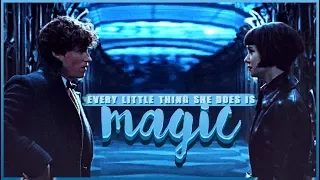 newt & tina | every little thing she does is magic 〔fantastic beasts〕