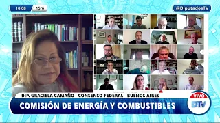 VIDEOCONFERENCIA COMPLETA: H. Cámara de Diputados de la Nación - 28 de abril de 2021