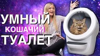 Самая крутая технология для кошек! Самоочищающийся туалет?! Litter-Robot 4.  На русском