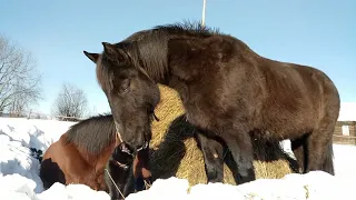 "С ветром по пути"