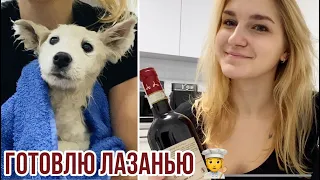 ВПЕРВЫЕ открываю ВИНО🍷КУПАЮ ЛУНУ 🐕🚿и готовлю ЛАЗАНЬЮ🧑‍🍳