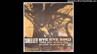 SHELLEY Bye Bye Bird DANISH GARAGE mod dancer FREAKBEAT