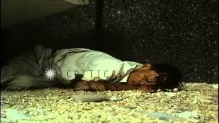 Dead Vietcong on United States Embassy grounds in Saigon, Vietnam. HD Stock Footage