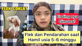 Cerita Flek dan Pendarahan Saat Hamil 5-6 Minggu || Apa yang harus dilakukan?