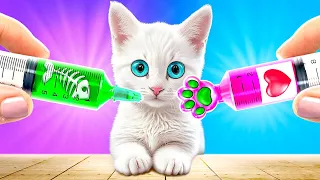 Who Want To save This Cute Kitten? *Crazy Pets Hacks and Awesome Cats Hacks*