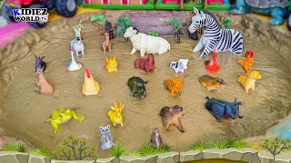 Muddy Adventure: Wild African Safari & Farm Animals Rescue | Fun Learning Kids Video