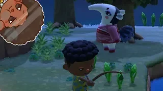 My first Nook Miles Ticket Island [Animal Crossing NH]