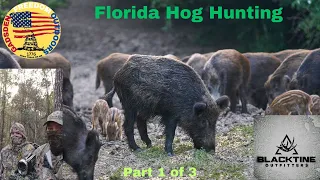 Hog Hunting Florida Part 1/3