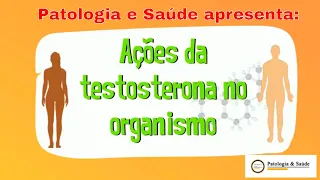 Testosterona: O que é e como funciona?