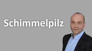 Schimmelpilz in der Mietwohnung - Wann braucht man als Mieter einen Anwalt?