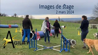 Stage mars 2024