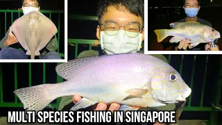 Productive Surfcasting | Multi Species Fishing in Singapore!