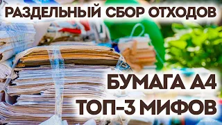 ТОП-3 мифов о бумаге А4 | Раздельный сбор отходов | Миротворец | Разделяй с нами