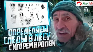 Как определить след Волка и Рыси? Охотничья грамота с Игорем Кролем.