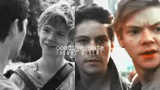 Thomas & Newt | Goodbye, mate [SPOILERS]