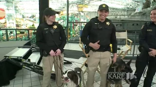 Preview of MOA security for Super Bowl 52