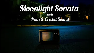 Moonlight Sonata with Rain and Cricket Sound
